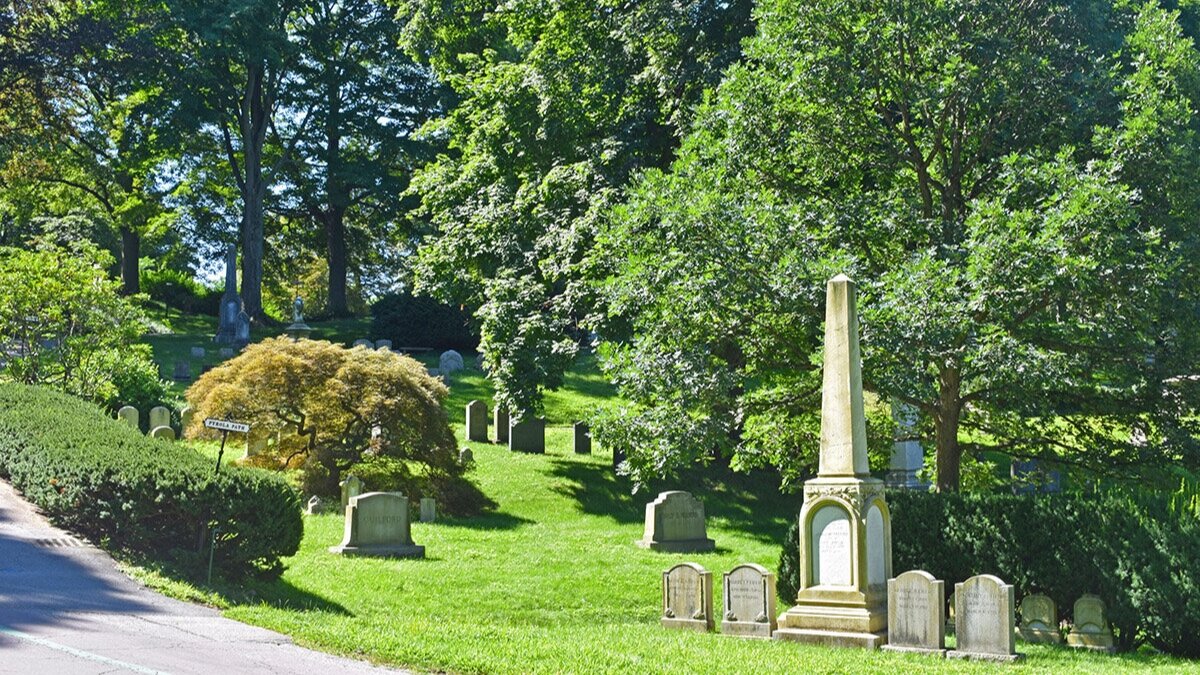 DSC_0897.jpg