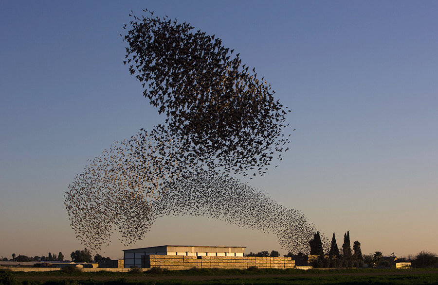 Photo courtesy of The Atlantic