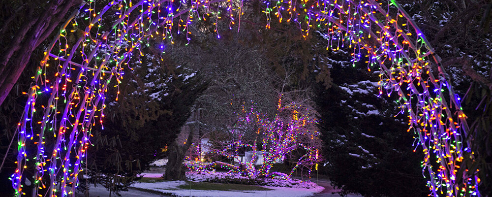 Gardens-Aglow-e1538152388719.jpg