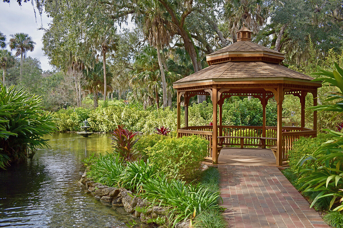Selby Gardens' Upcoming Exhibition Brings to Life the Vivid