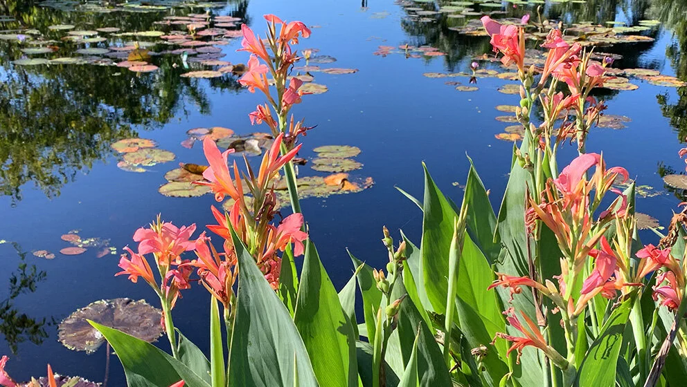 GARDEN ガーデン .永遠に忘れないように　8センチ8cmシングル邦楽CD The Garden Tourist's Florida — Enchanted Gardens