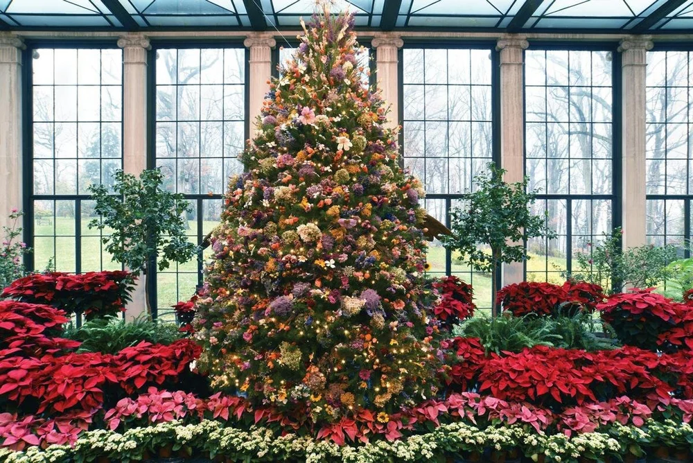Winterthur At Christmas 2022 The Garden Tourist's Longwood Christmas — Enchanted Gardens