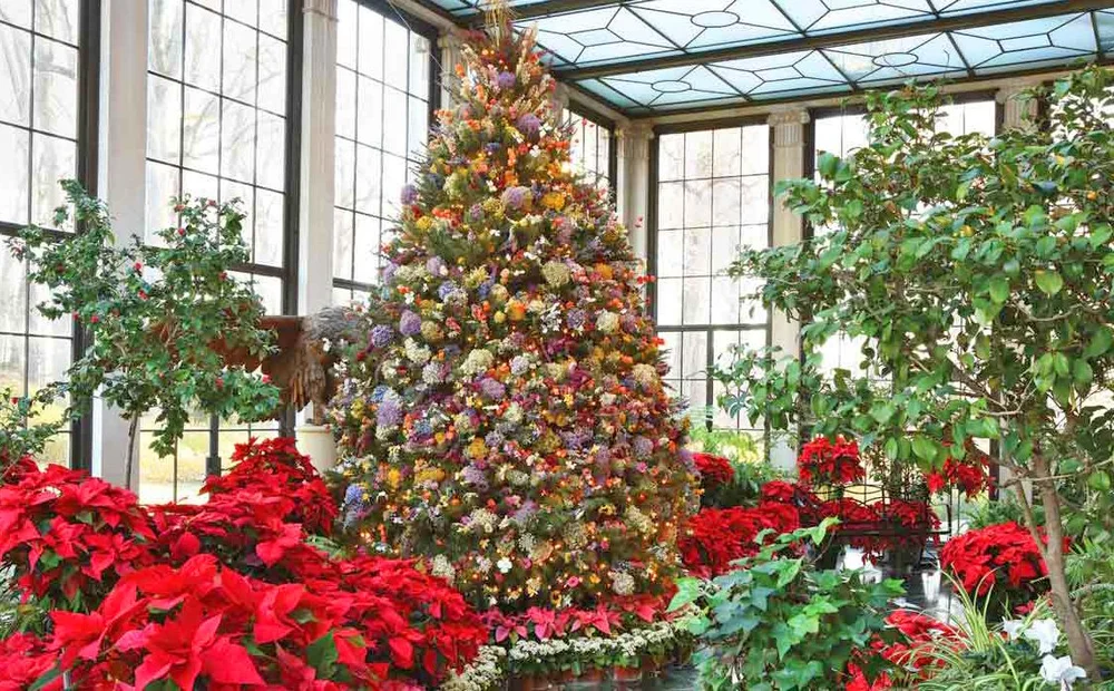 Auburn Ma Christmas Tree Disposal 2022 Blog — Enchanted Gardens