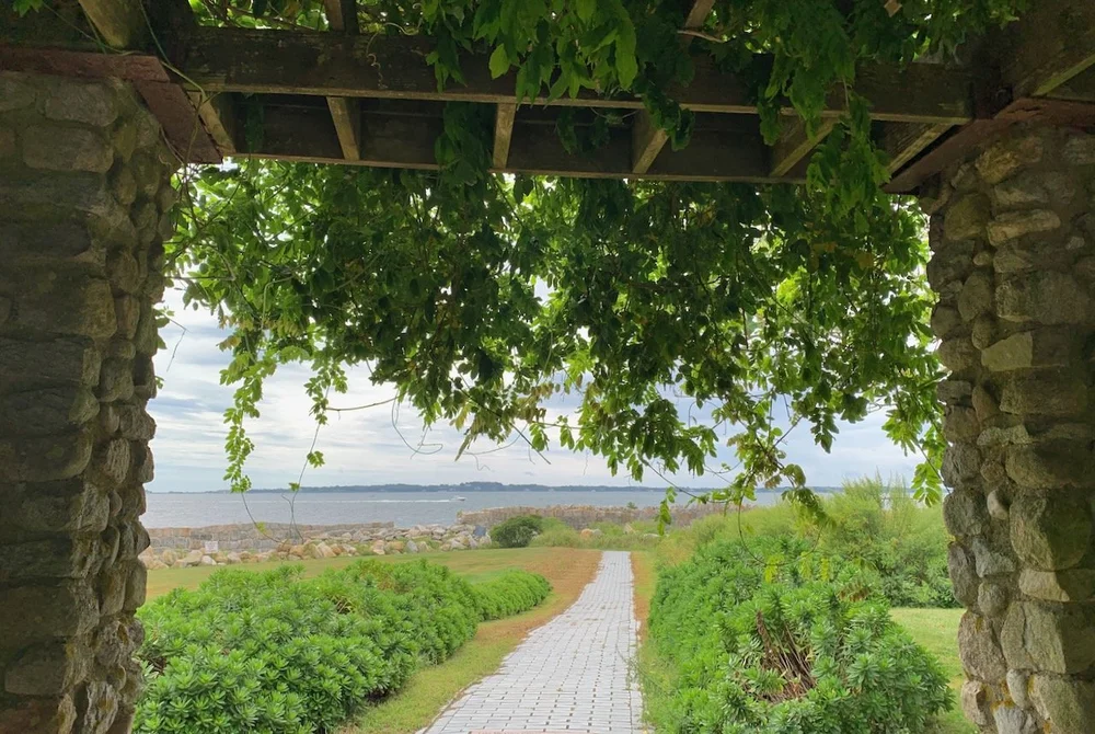 Resplendent Dahlias on Enders Island — Enchanted Gardens