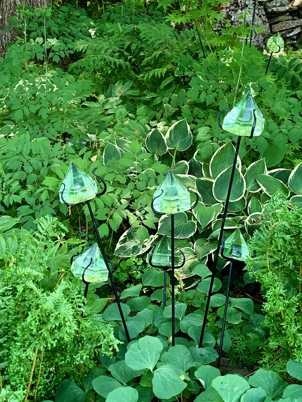 Bedrock Gardens (5).jpeg