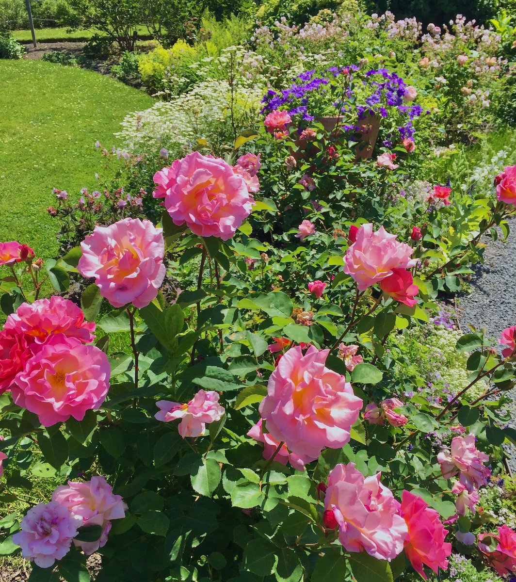 Blithewold 2018 (1).jpeg