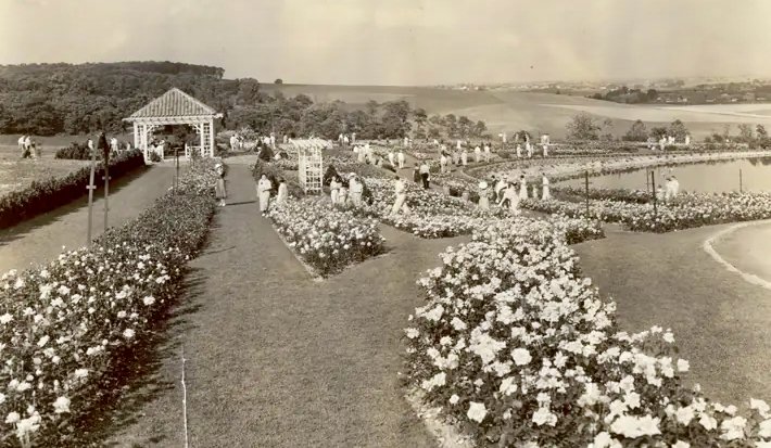 TheoriginalHersheyRoseGardenfeatured35acresofroses.jpg.jpeg