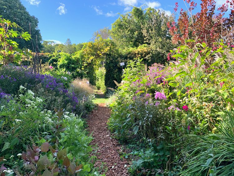 Blog — Enchanted Gardens