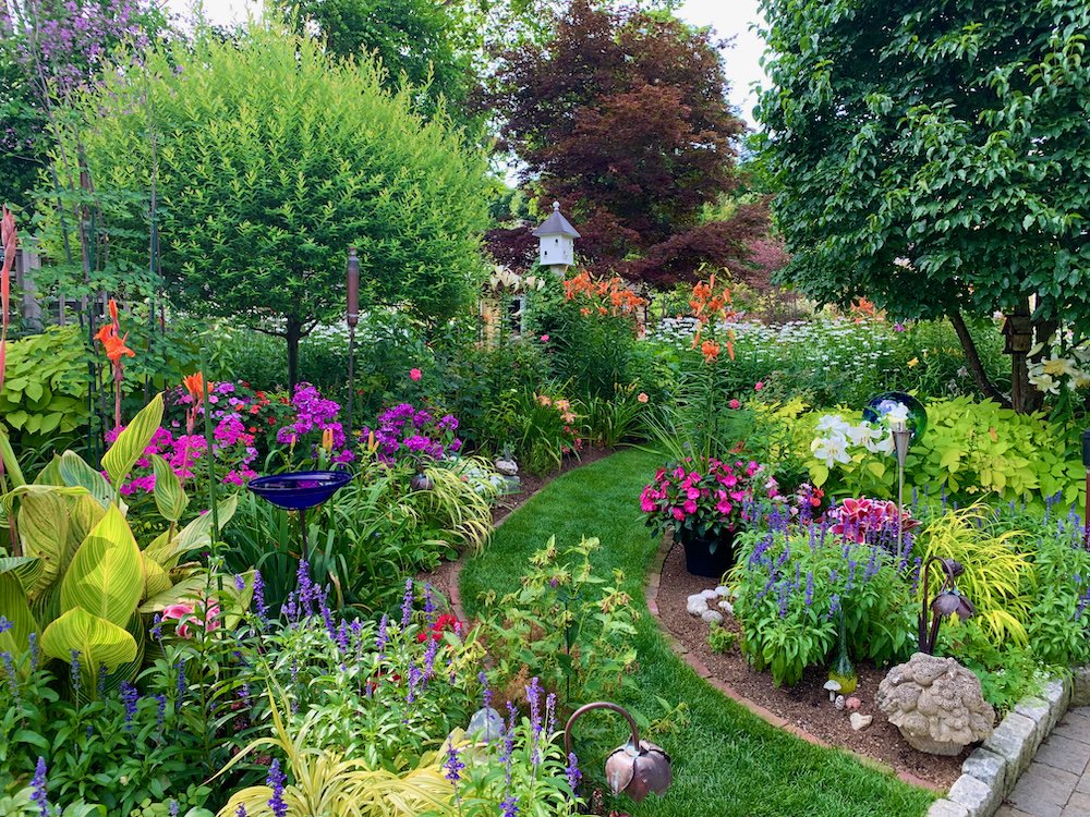 Garden Plants Garden Plants
