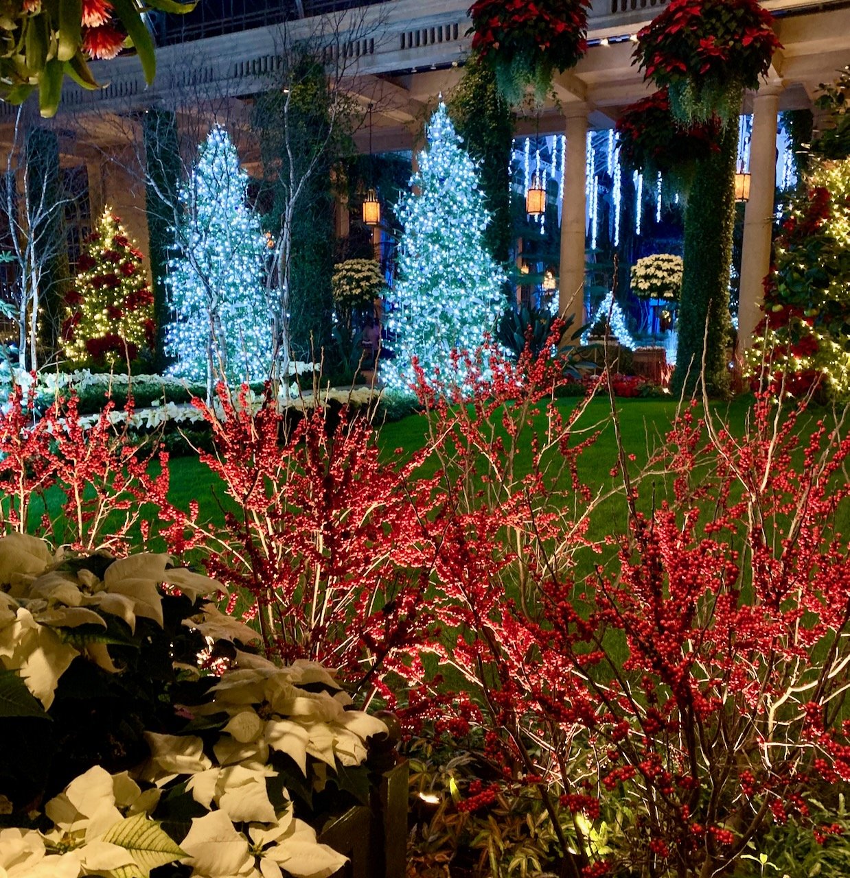 Wander Your Garden At Night On A Magical Pathway Of Glowing Stones