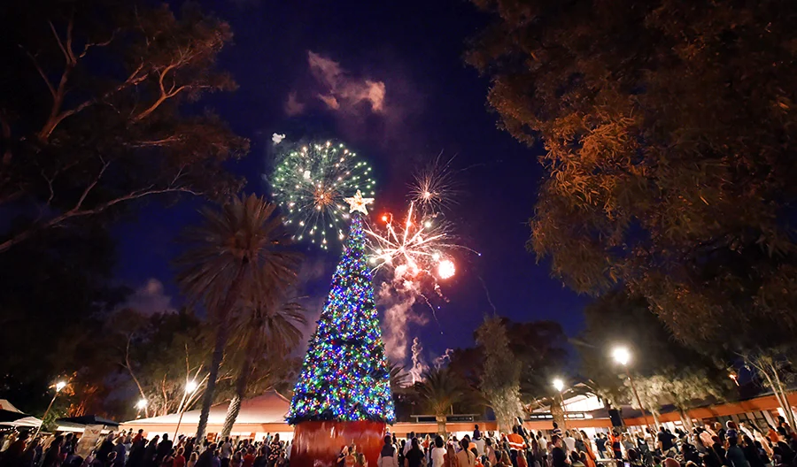 Christmas_2017_AliceSprings.jpg