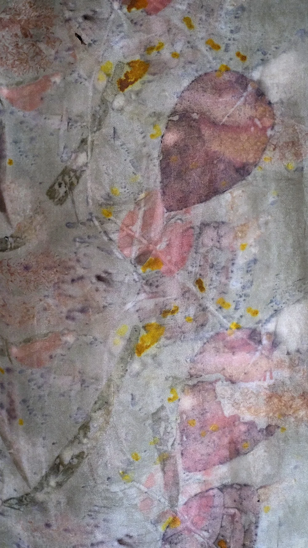 DSCF5274.jpg