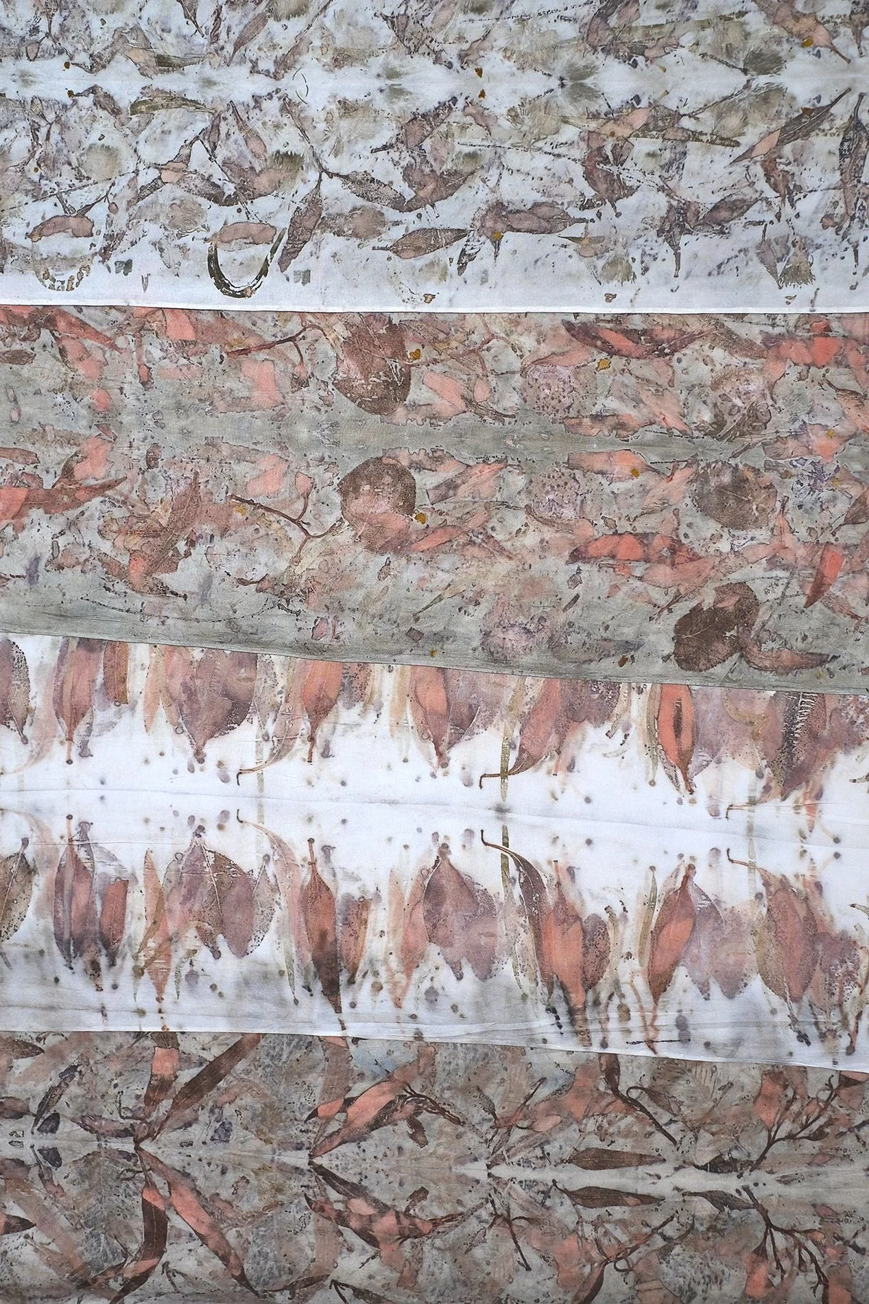 DSCF5581.jpg