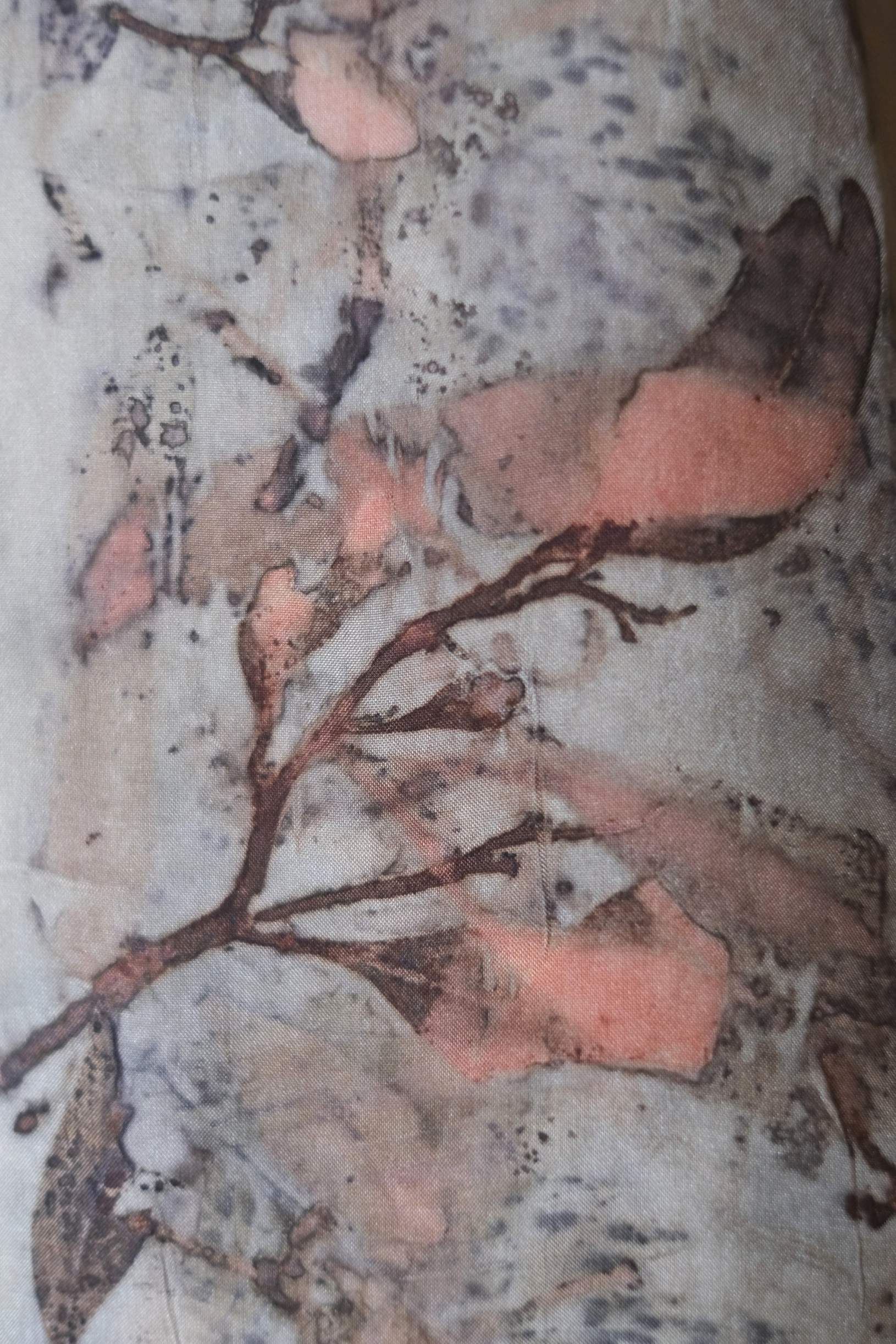 DSCF5584.JPG