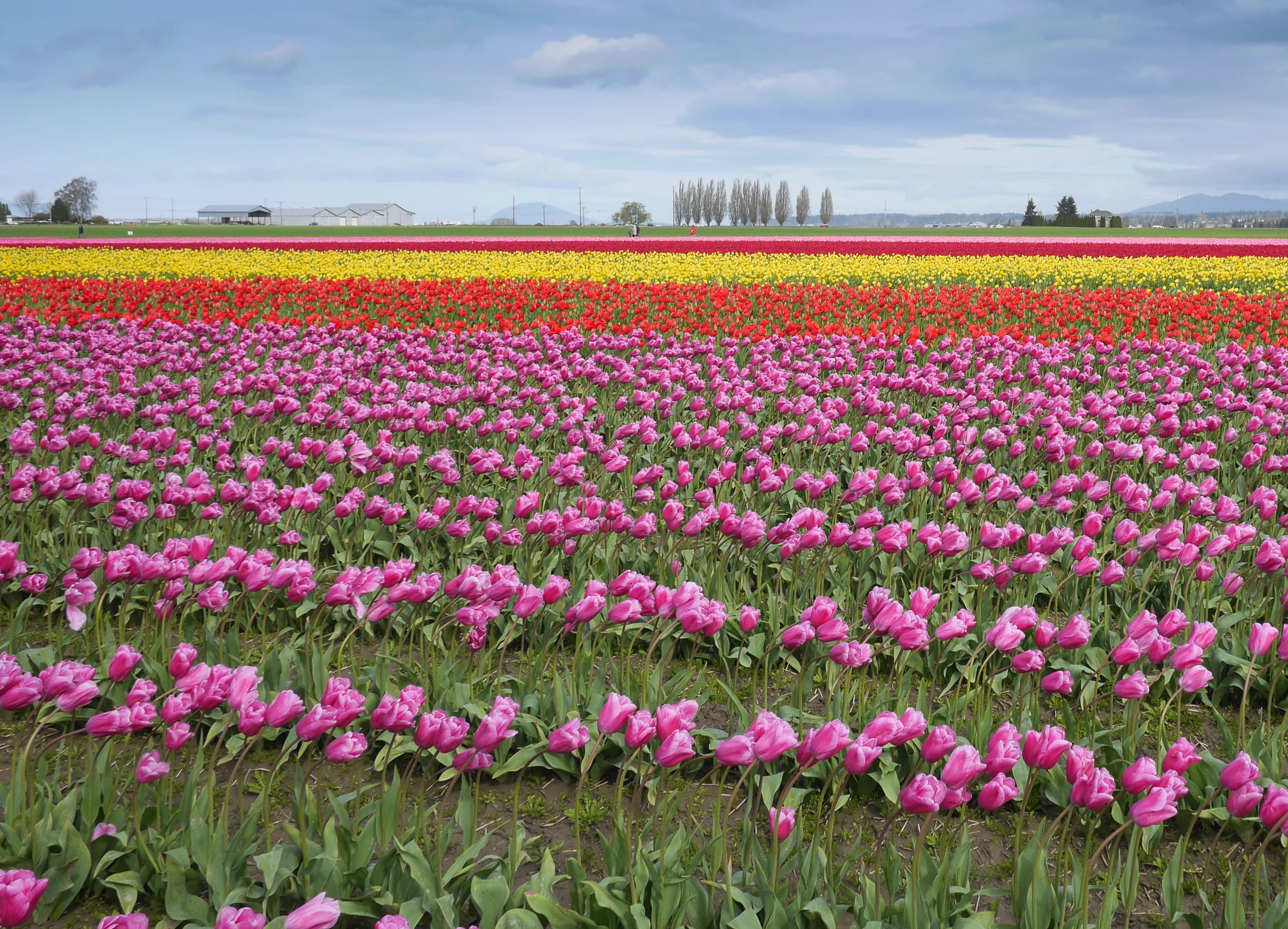 Spring trip, Washington