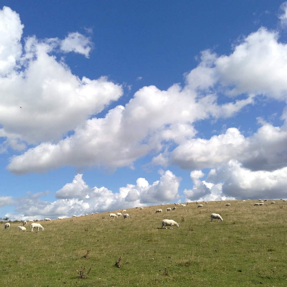 hello getaway, england, seven sisters country park