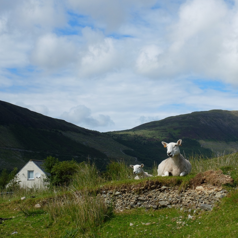 hello getaway, scotland, nature, isle of skye