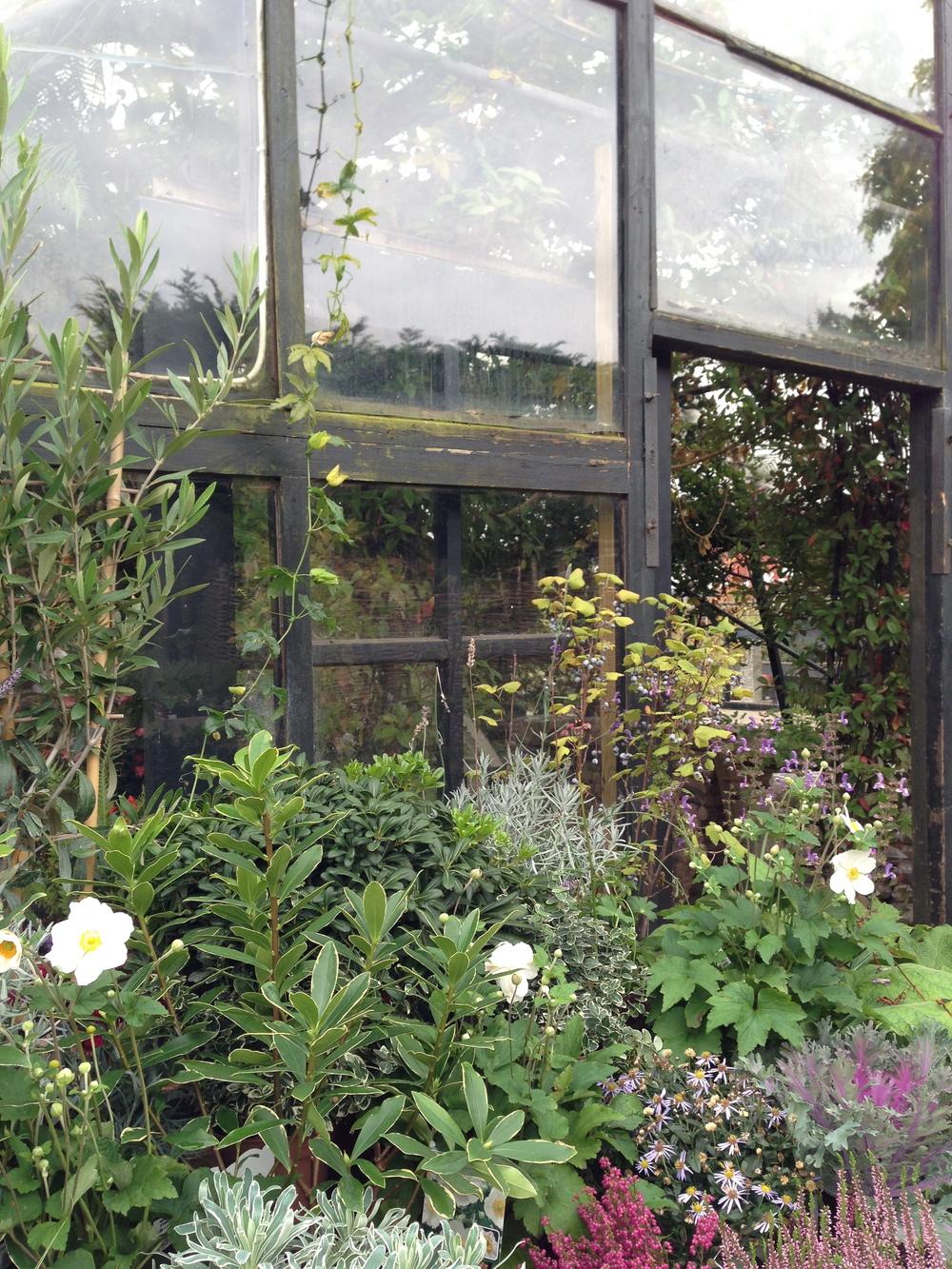 green house petersham nurseries hello getaway london city guide