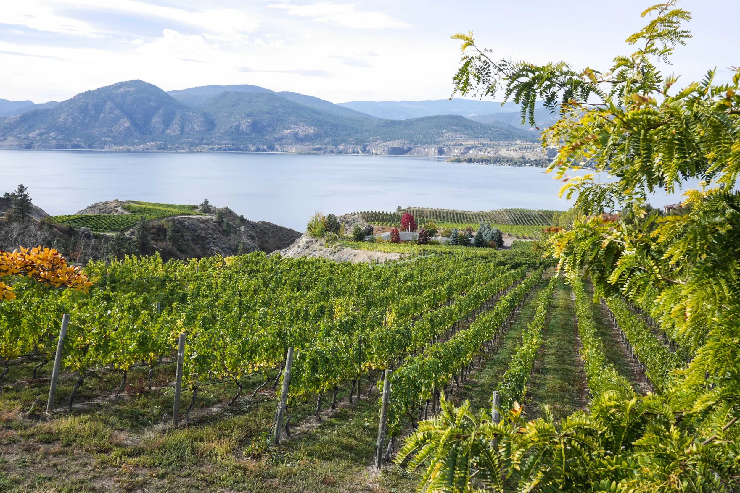 Autumn Weekend in Okanagan Valley, BC