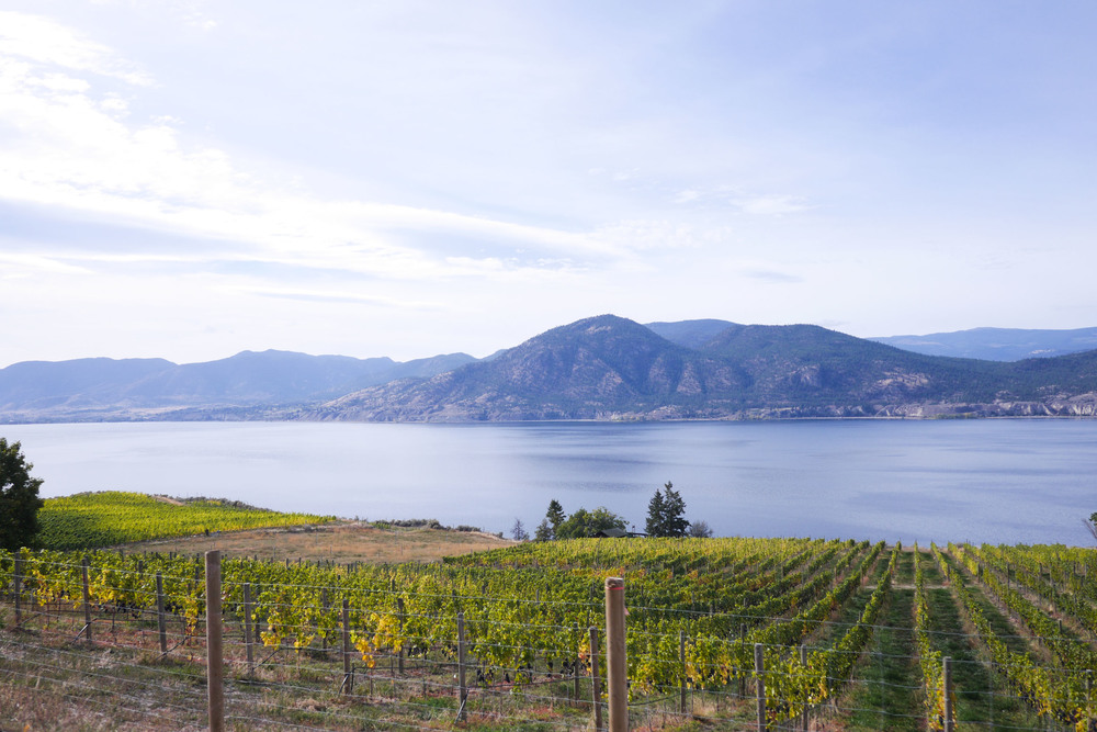 Okanagan_helloG-73.jpg