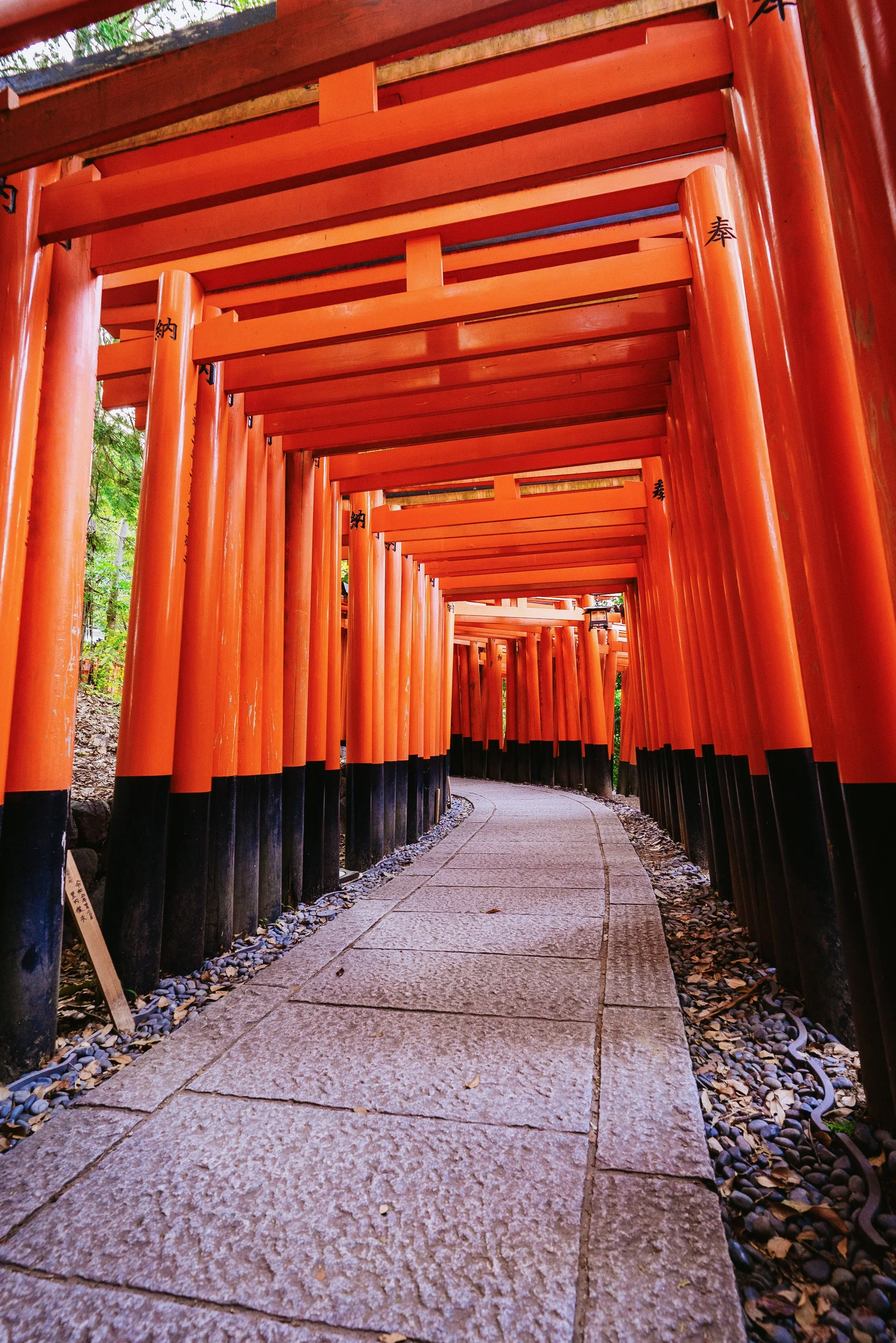 Kyoto Highlights | Rich Historic City in Photos