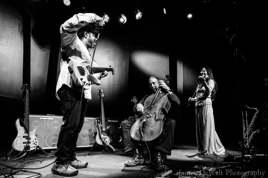 Victor Cello .jpg