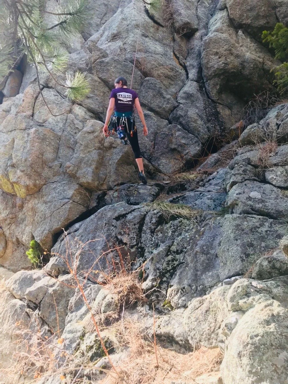 CR Merch Plum v-neck.jpeg