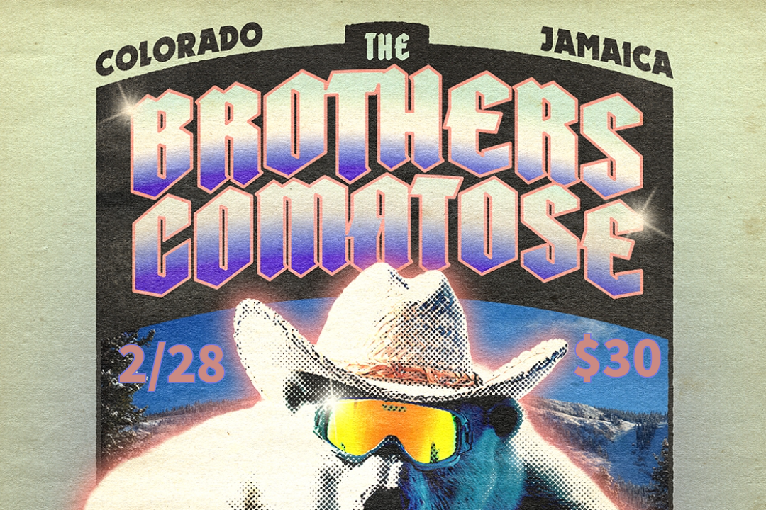 The Brothers Comatose