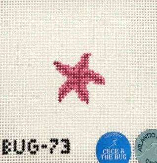 mini starfish.jpg