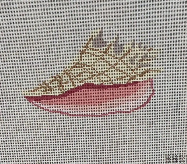 seashell.jpg