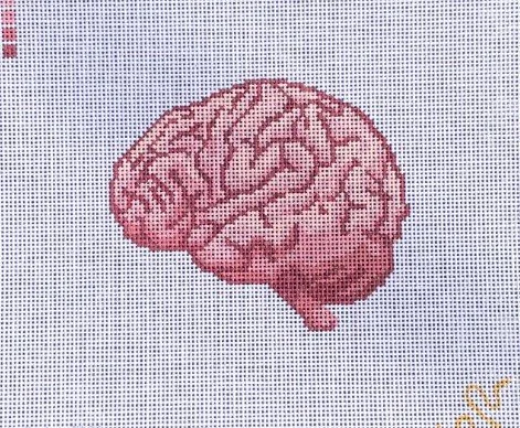 brain.jpg