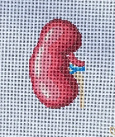 kidney.jpg