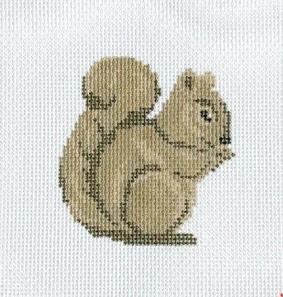 baby squirrel.jpg