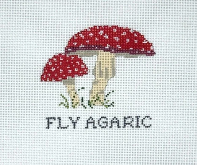 fly .jpg