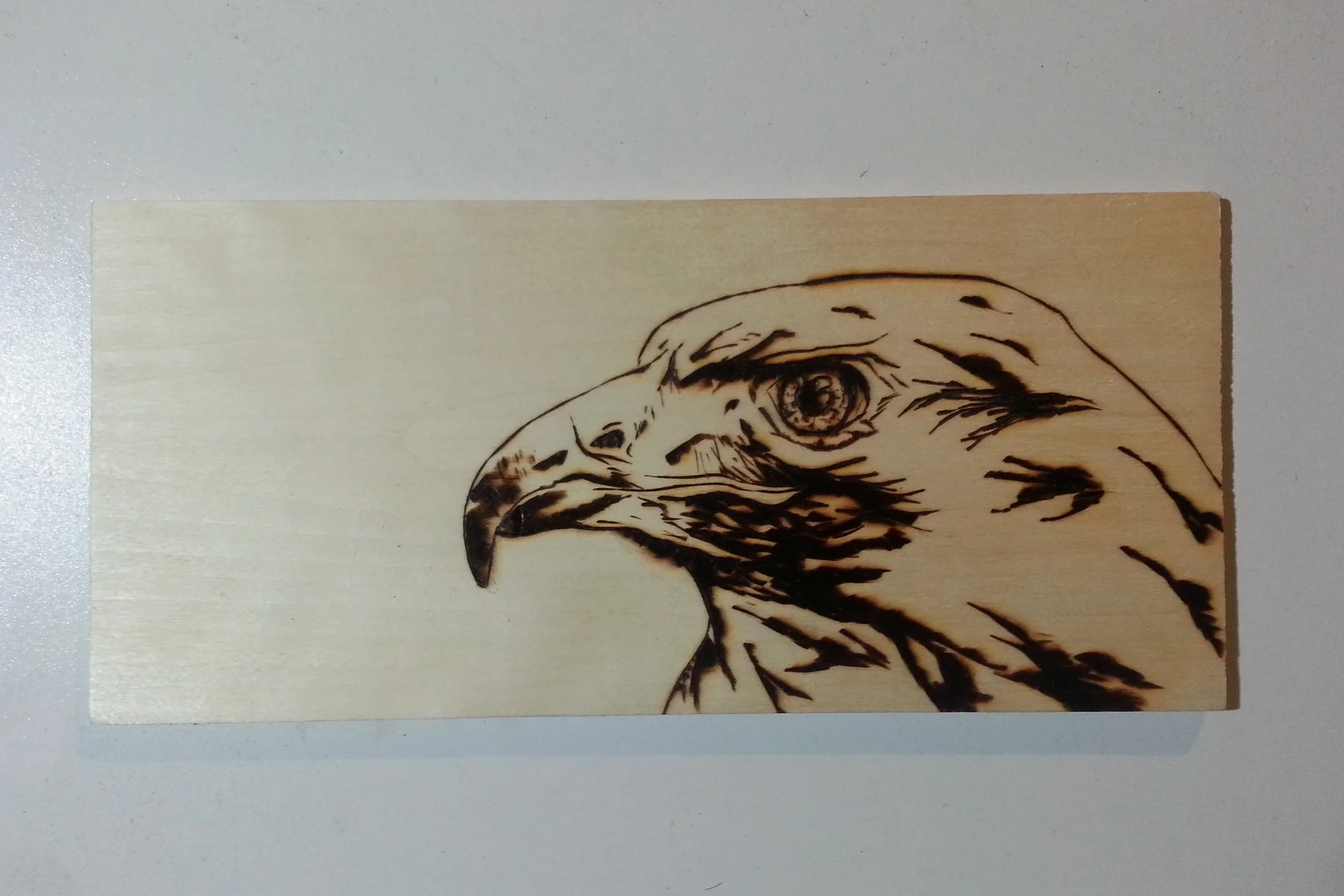 20150308_193046.jpg