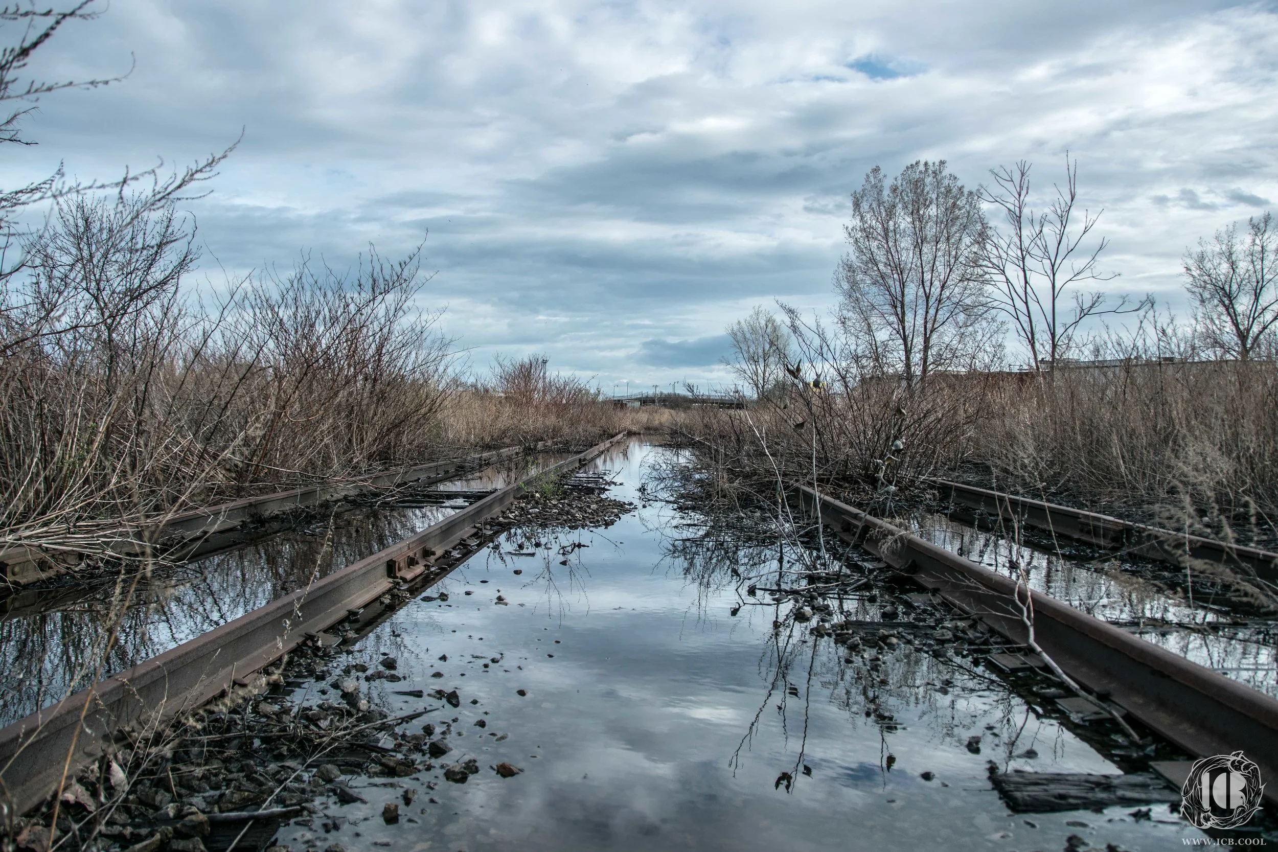 SILO CITY_BUFFALO-52-HDR- LOW RES - LOGO.jpg