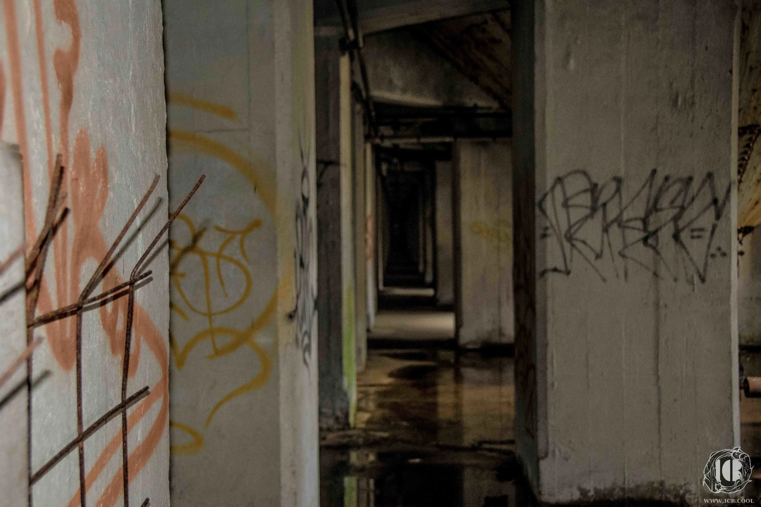 SILO CITY_BUFFALO-90- LOW RES - LOGO.jpg