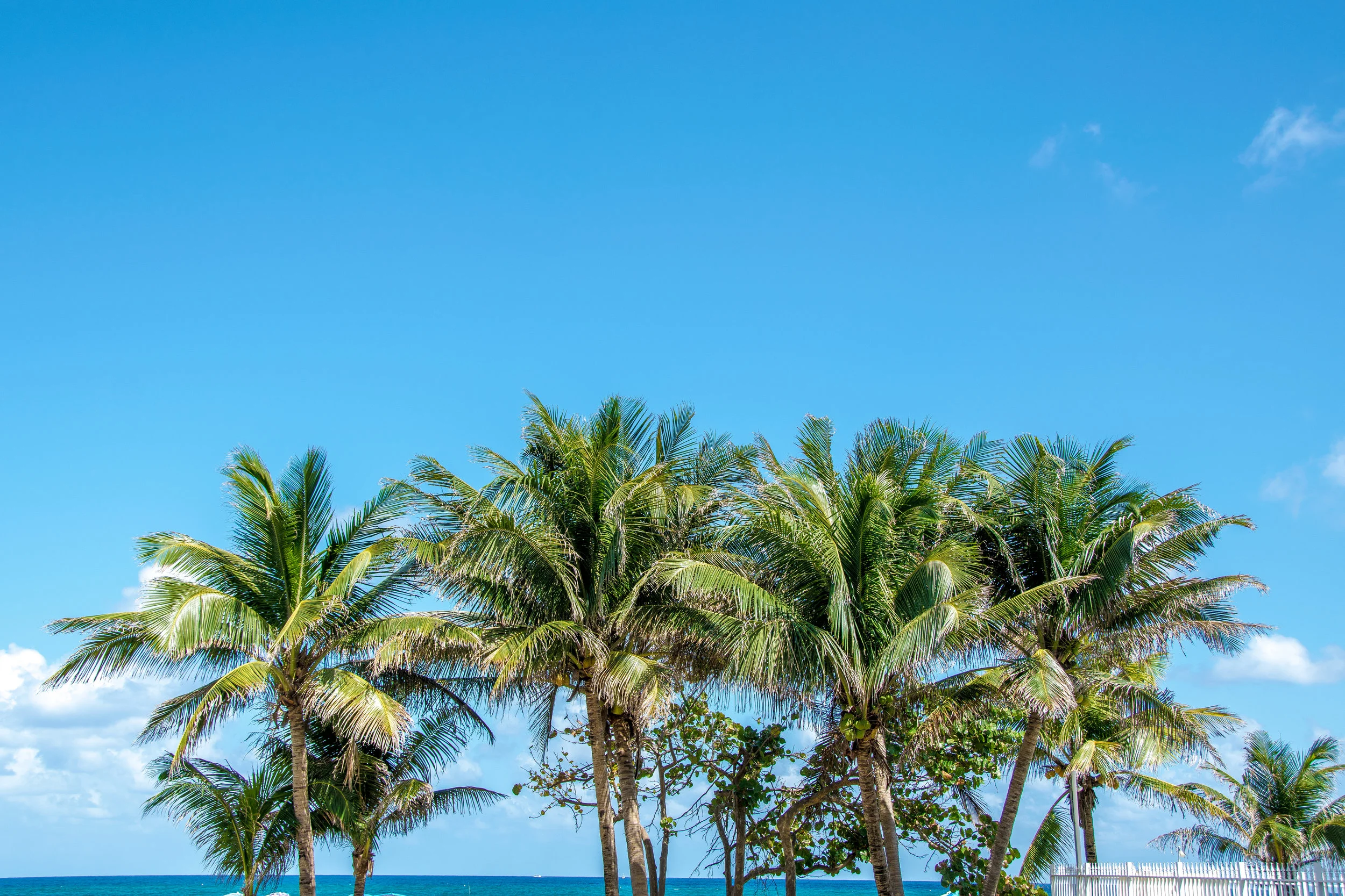 CORAL SPRINGS FLORIDA-6-2.jpg