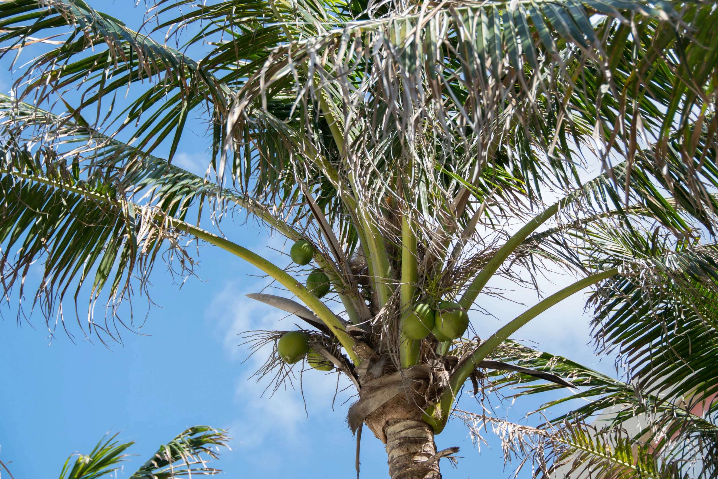 CORAL SPRINGS FLORIDA-3- FULL SIZE_.jpg