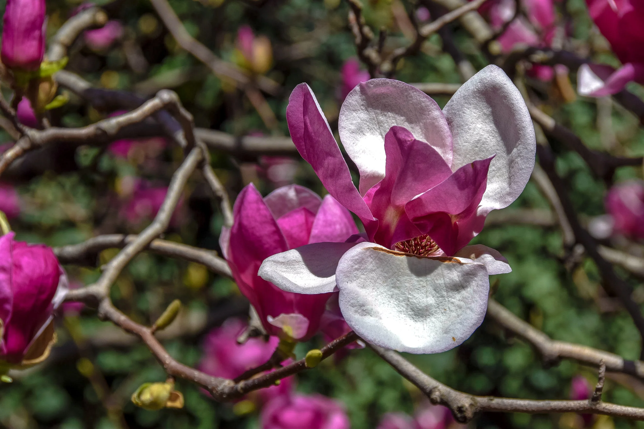 PITTSBURGH_ROADTRIP-81- FULL SIZE_.jpg