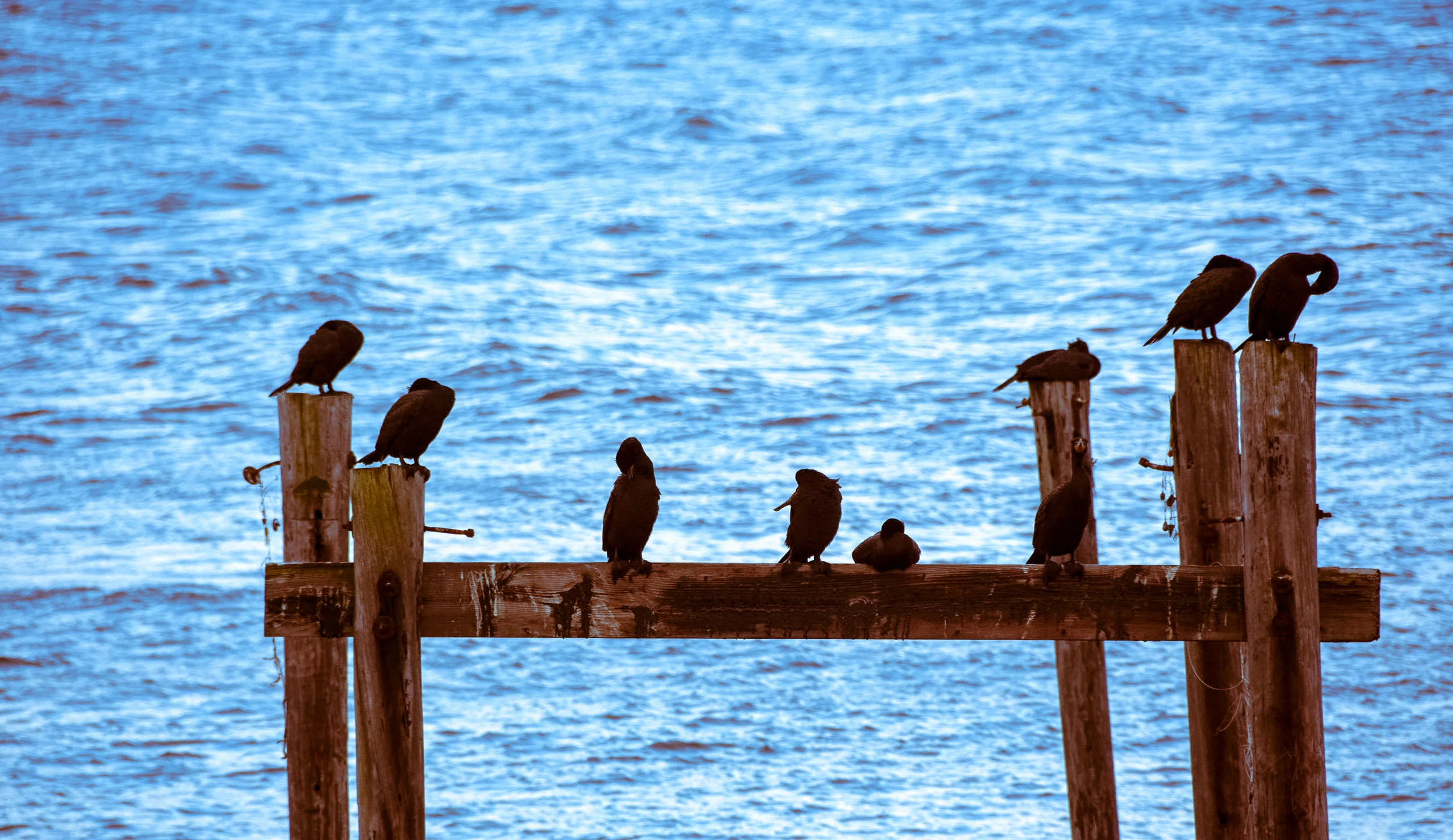 ATLANTIC CITY NJ_ROADTRIP-4- FULL SIZE_.jpg