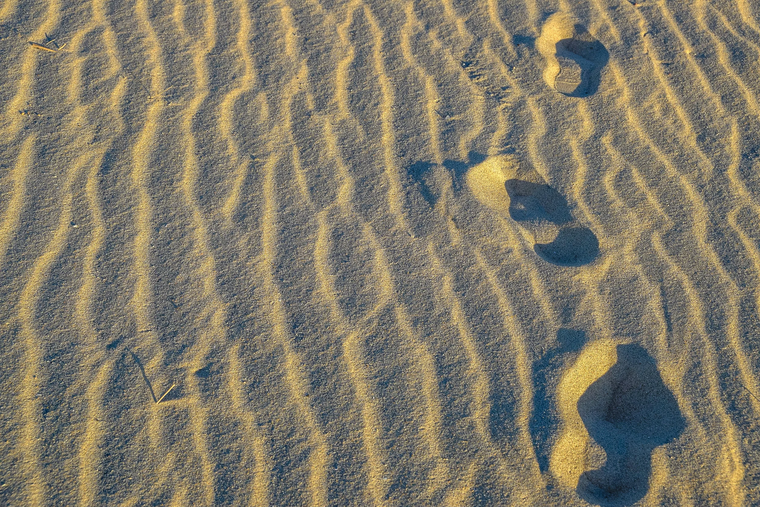 OCEAN CITY_ROADTRIP-13- FULL SIZE_.jpg