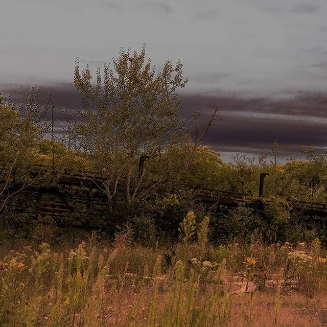 Abandoned Buffalo
See the full panoramic in the profile view

#panoramic #buffalo #abandoned #abandonedplaces #rustbelt #factory #photomanipulation #photography #instamood #urbex #urbexphotography #explorewny