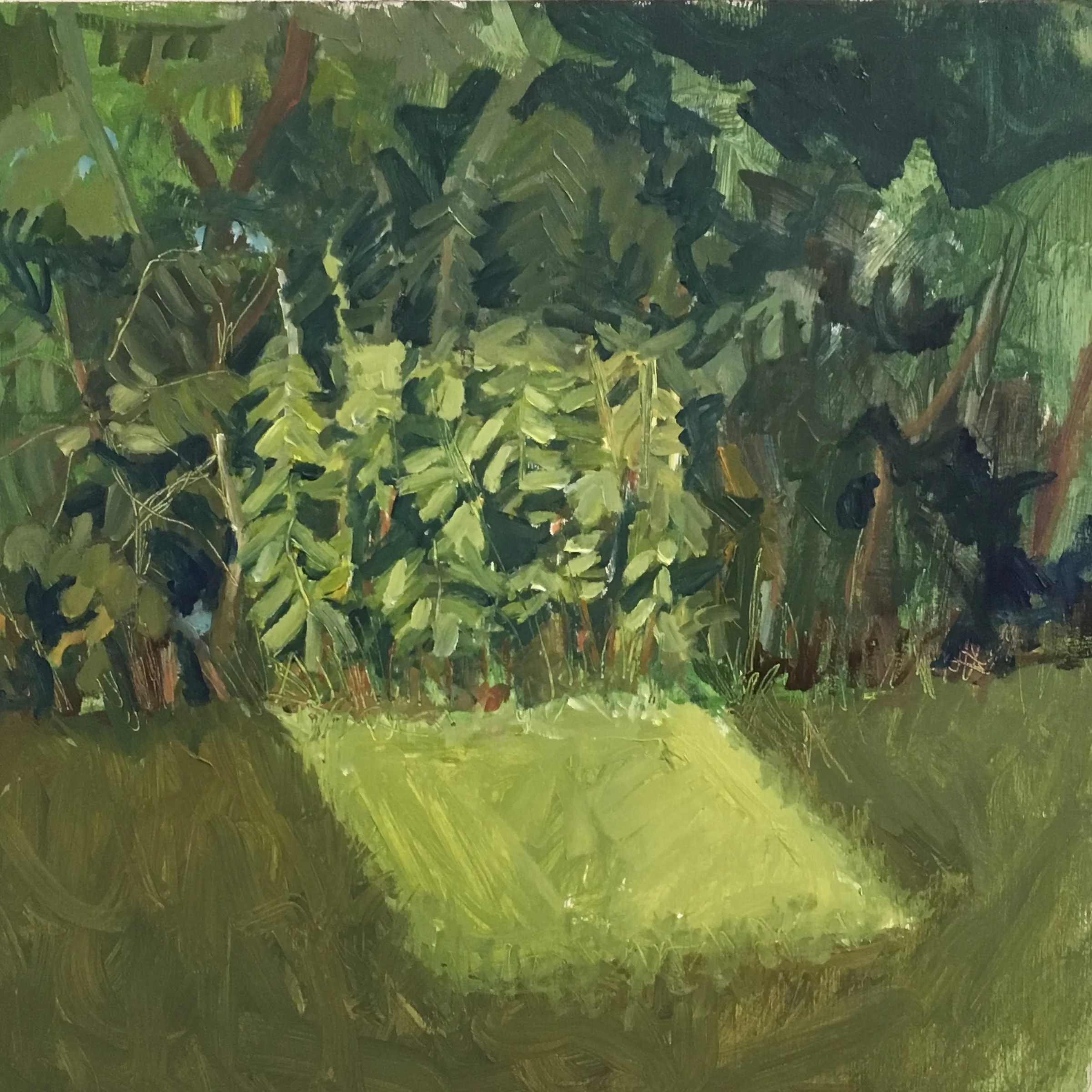 Pretty Green, Oil on panel, 12x12"