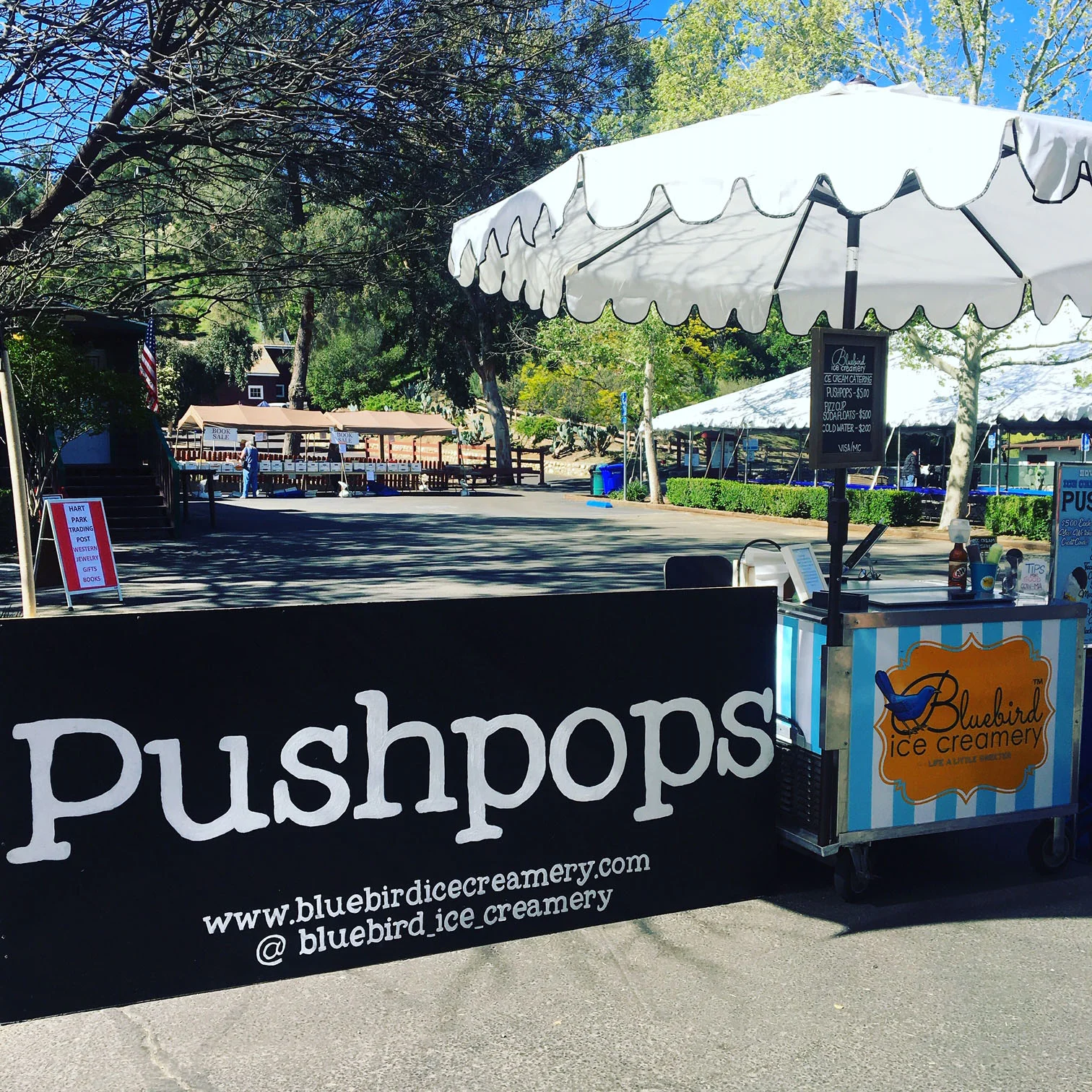 pushpopdisplay.jpg