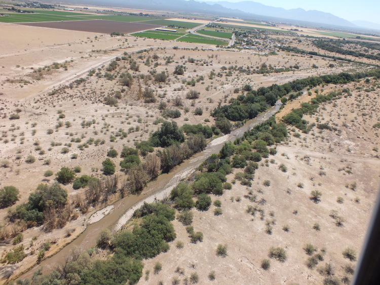   The Santa Cruz river flowing near Tangerine Farms Road in North Marana  