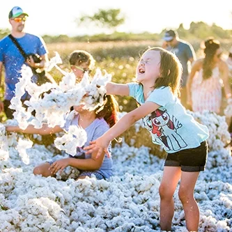 CottonFestival-02Small.jpg