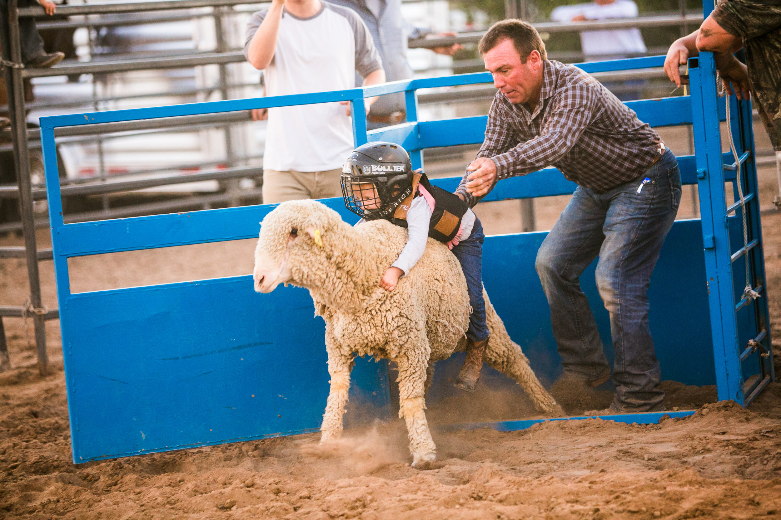 Cotton Festival Blog 4 Mutton Busting and Rodeo — Town of Marana