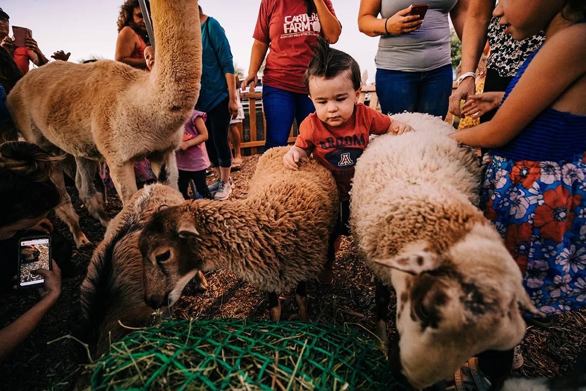 MaranaFarmFestival-208.jpg