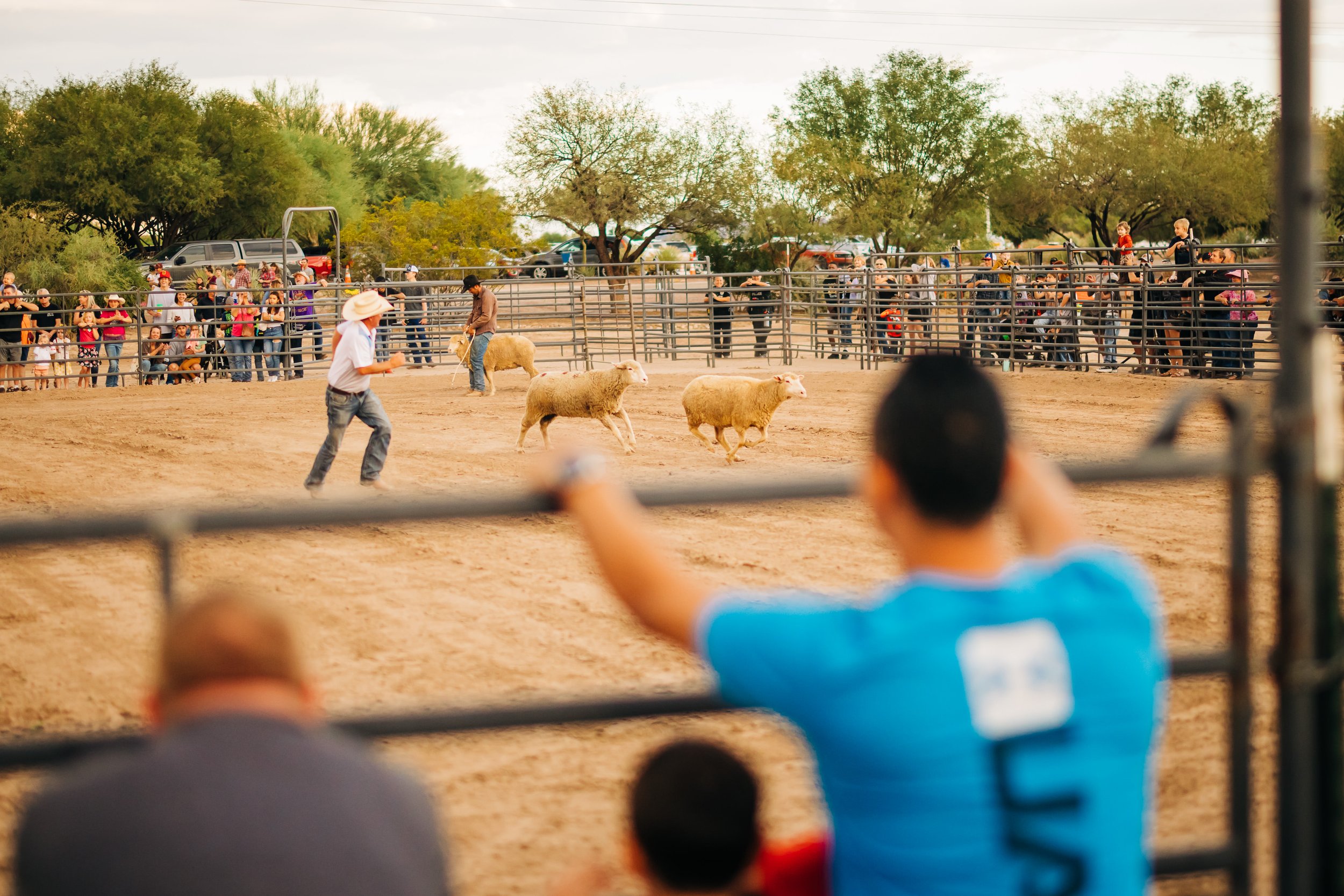 Photo Gallery Town of Marana Presents Fall Festival 2022 — Town of Marana
